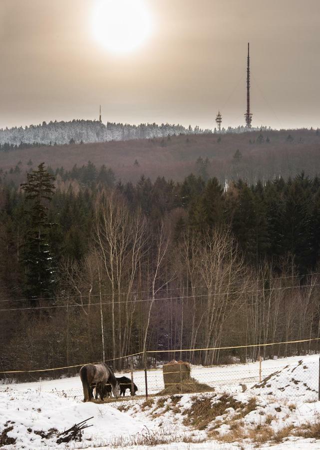 Penzion U Sevcu Holubov Luaran gambar